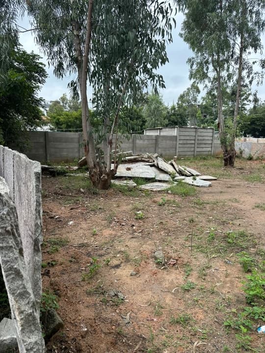 Plot / Site photo 4