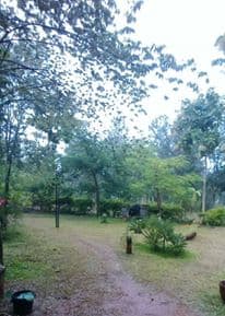 Plot / Site photo 2