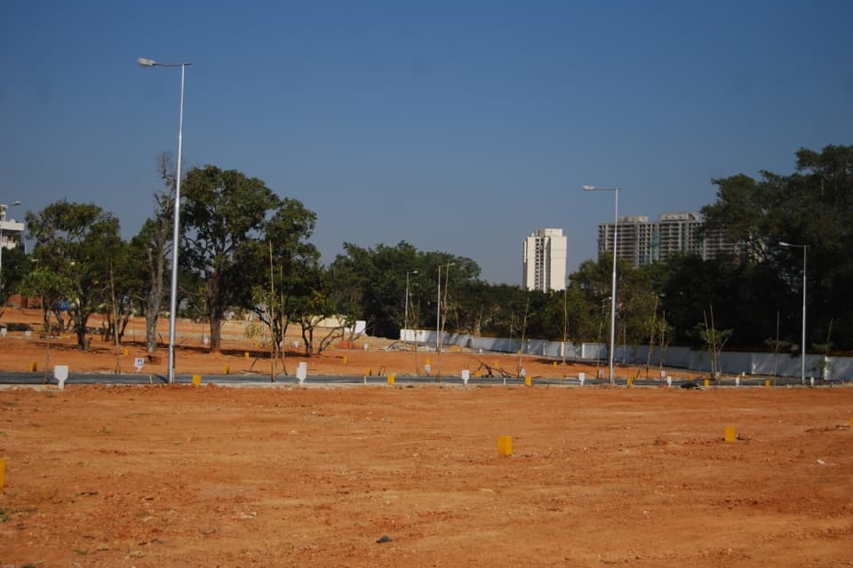 Plot / Site photo 2