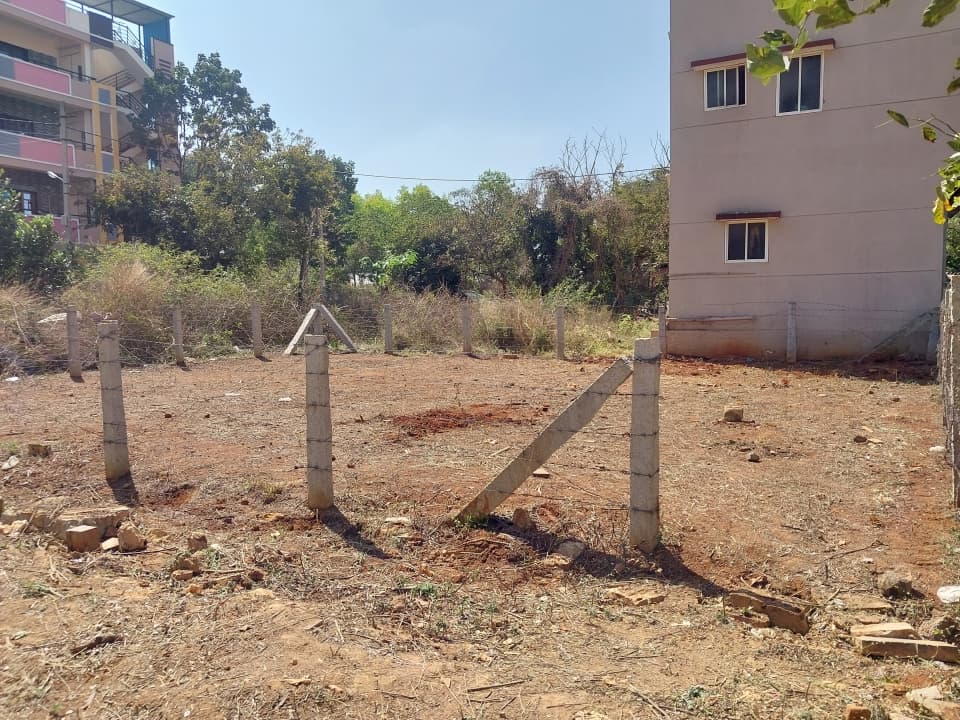 Plot / Site photo 2