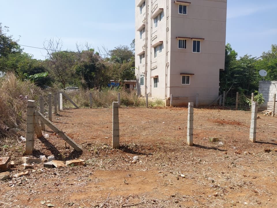 Plot / Site photo 4