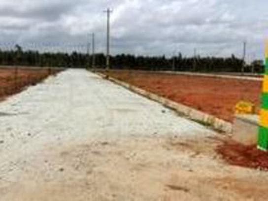 Plot / Site photo 2