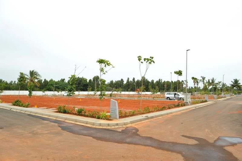 Plot / Site photo 3