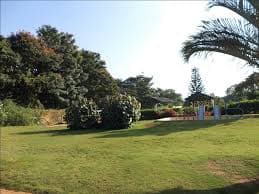 Plot / Site photo 4