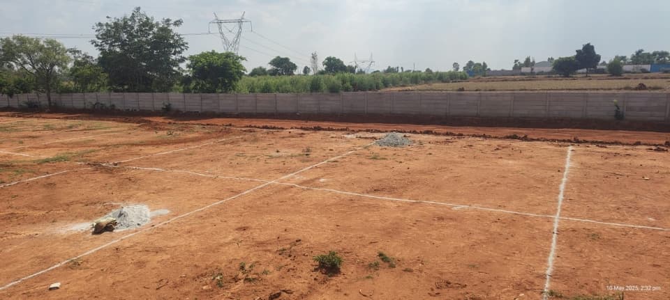 Plot / Site photo 4