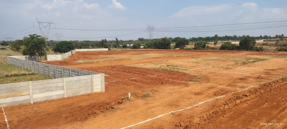 Plot / Site photo 3