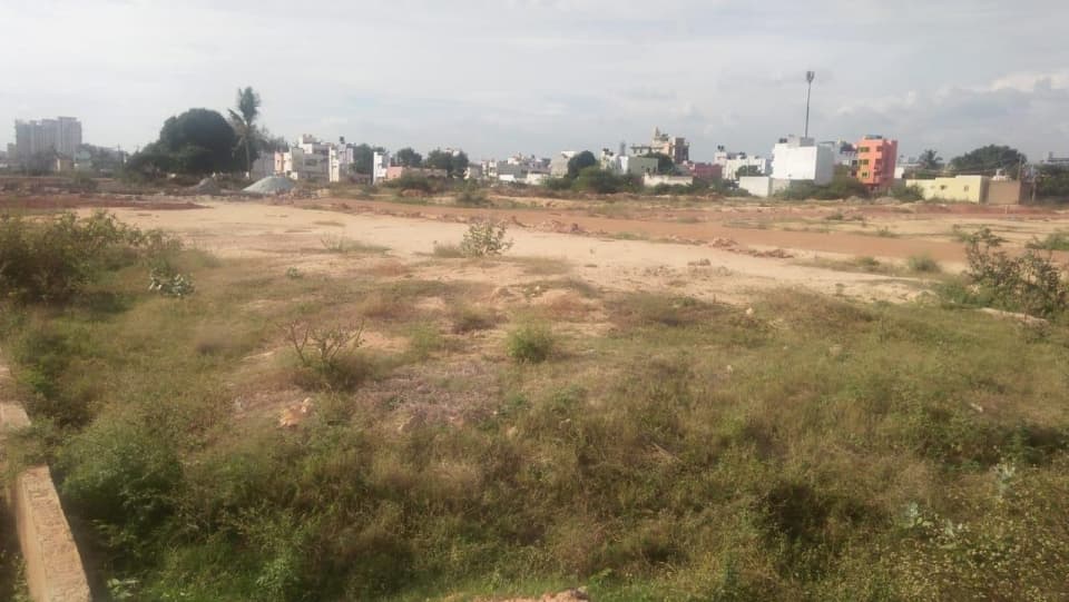 Plot / Site photo 2