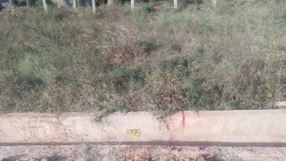 Plot / Site photo 3