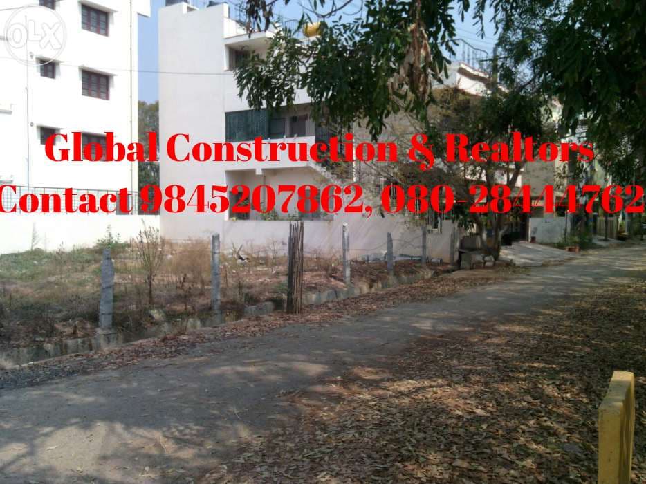 Plot / Site photo 2