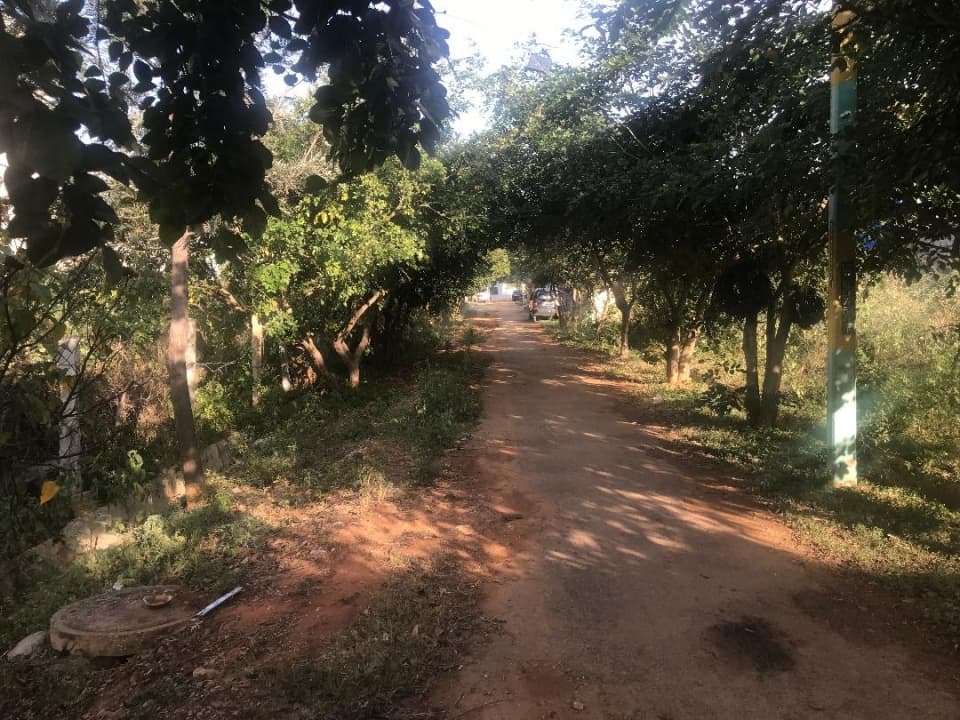 Plot / Site photo 2