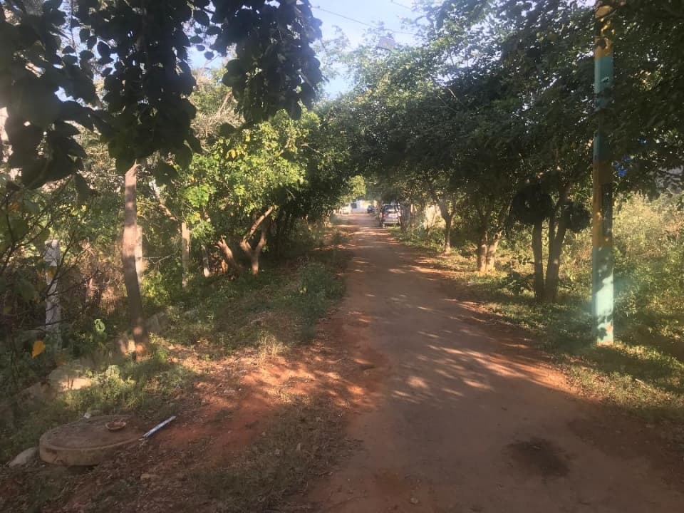 Plot / Site photo 3