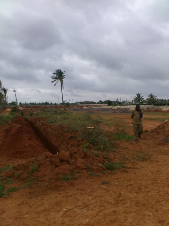 Plot / Site photo 3