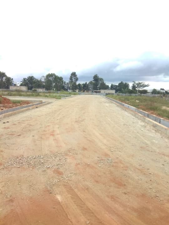 Plot / Site photo 3