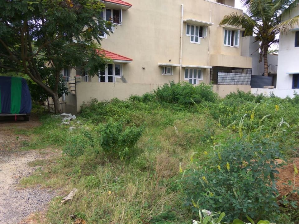 Plot / Site photo 2