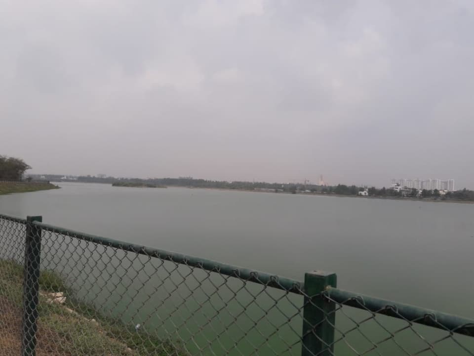 Plot / Site photo 2