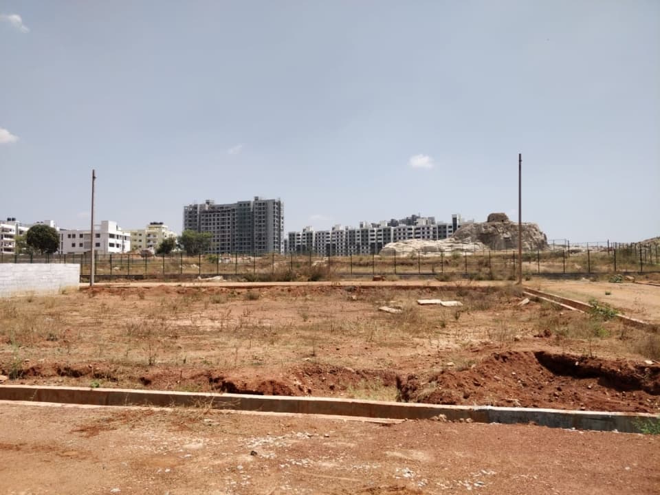 Plot / Site photo 3