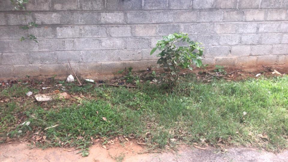 Plot / Site photo 2