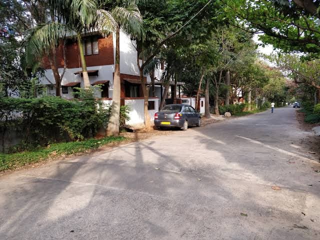 Plot / Site photo 3