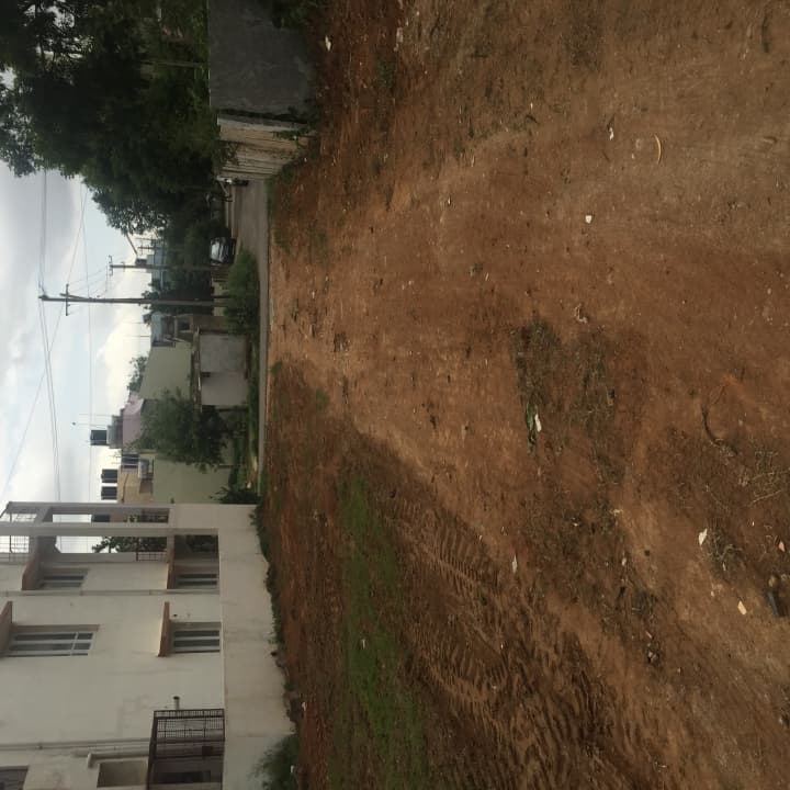 Plot / Site photo 4