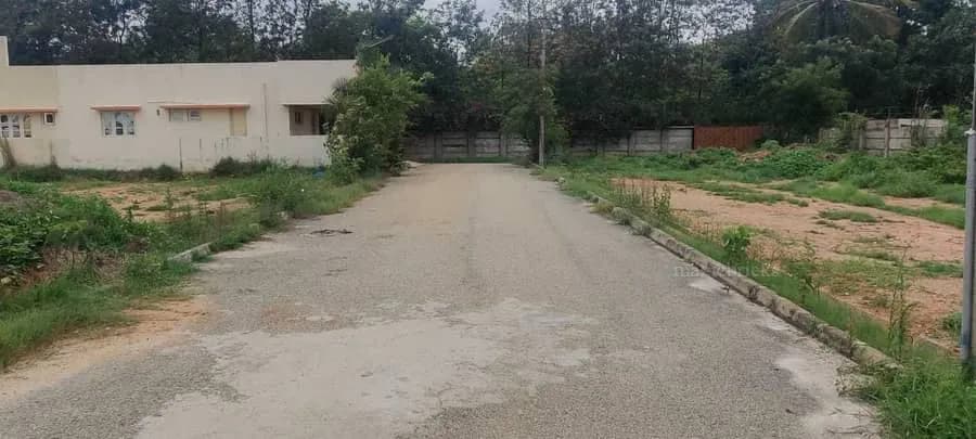 Plot / Site photo 4