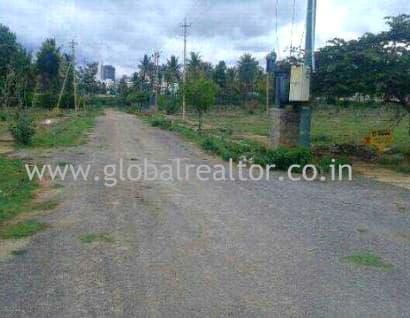 Plot / Site photo 2