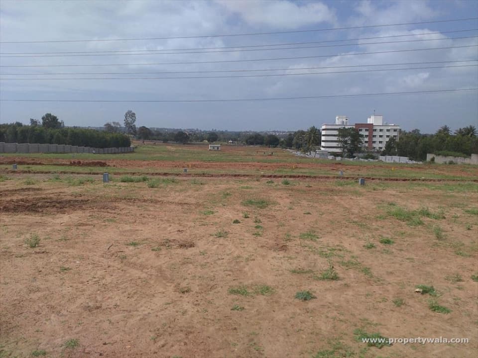 Plot / Site photo 2