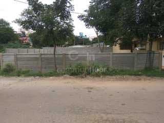 Plot / Site photo 2