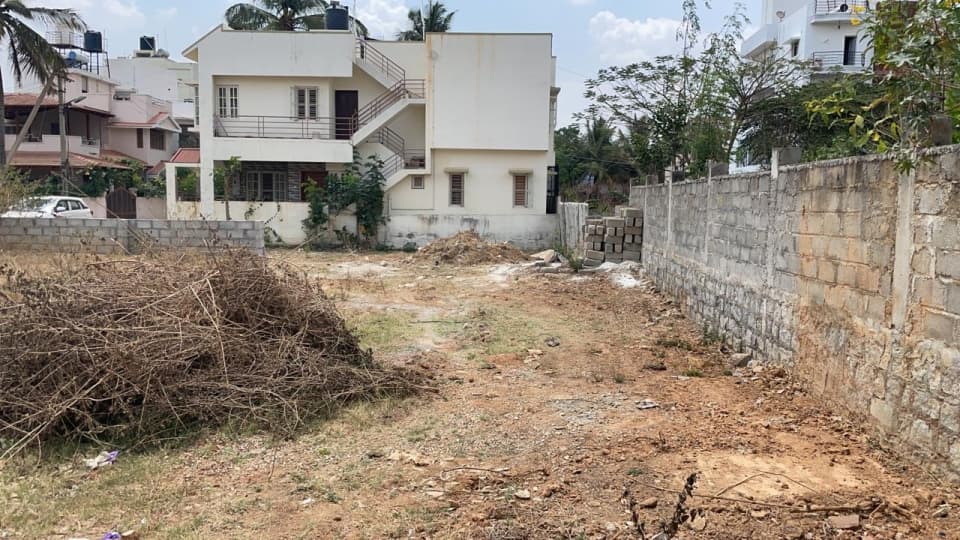 Plot / Site photo 2