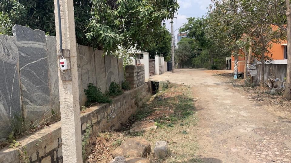 Plot / Site photo 3