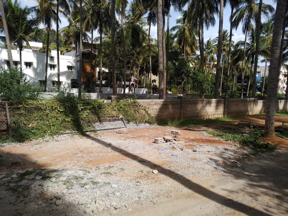 Plot / Site photo 2