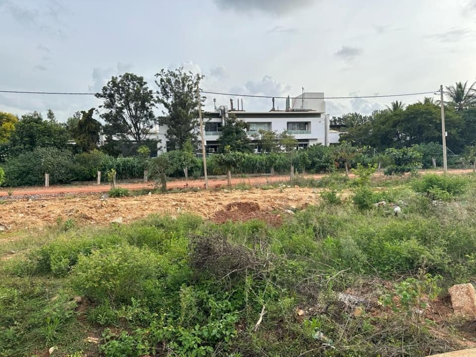 Plot / Site photo 2
