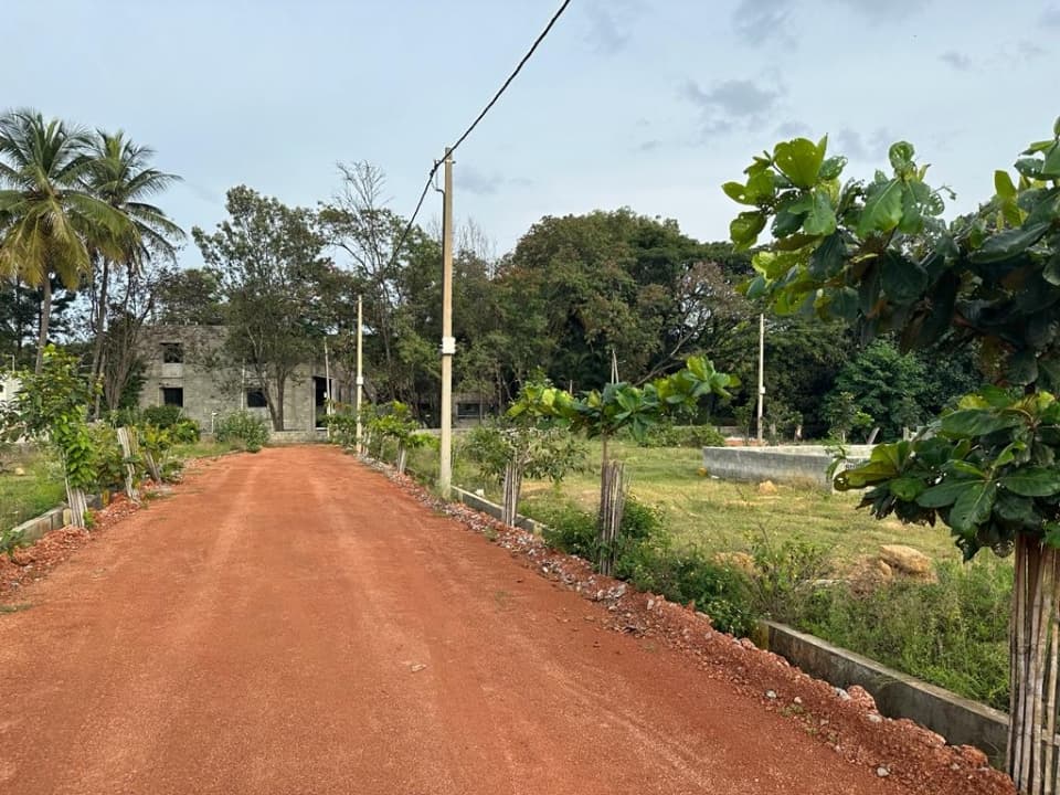 Plot / Site photo 4