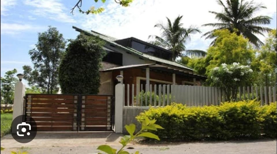 Plot / Site photo 4
