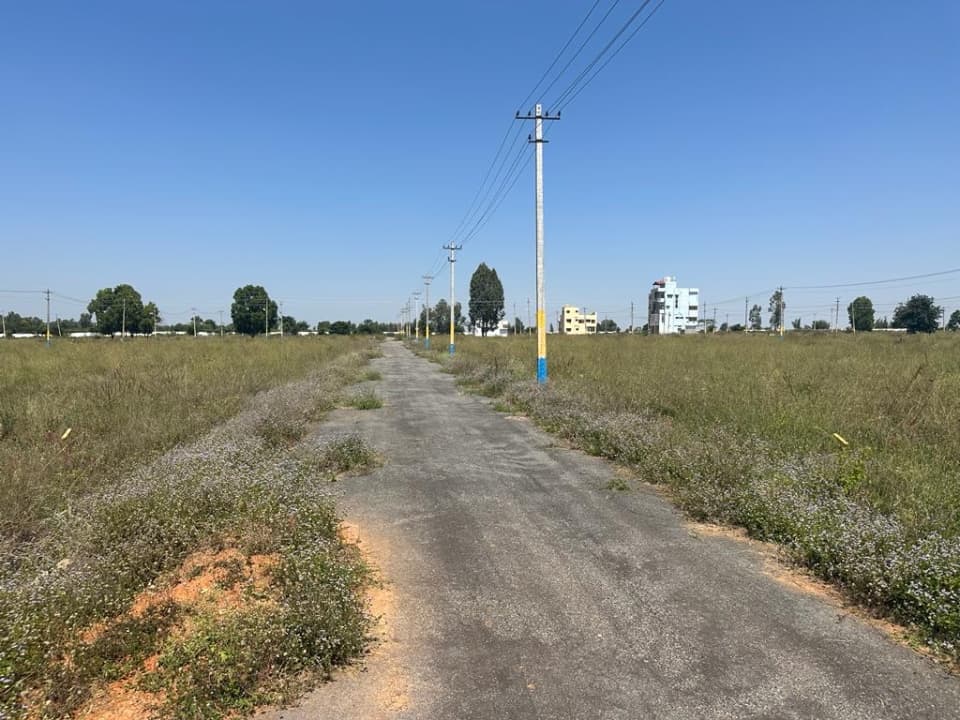 Plot / Site photo 2