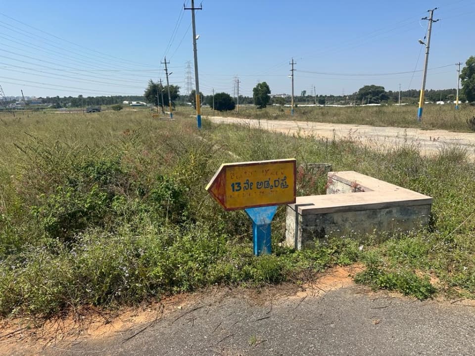 Plot / Site photo 4