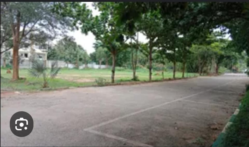 Plot / Site photo 4