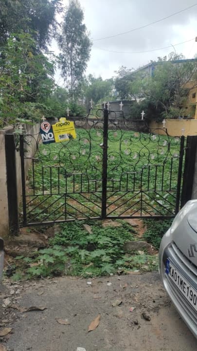 Plot / Site photo 4