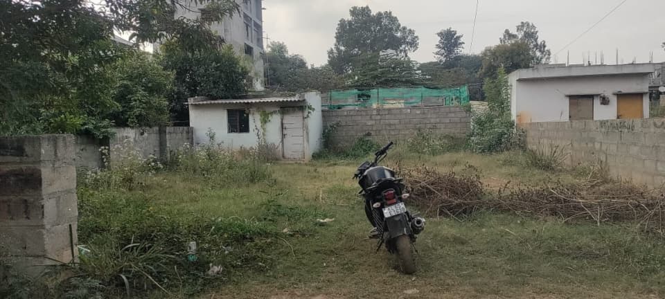 Plot / Site photo 2