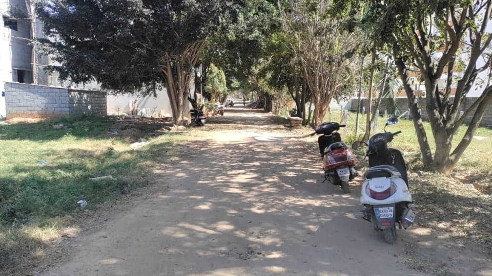 Plot / Site photo 3