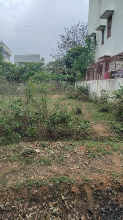 Plot / Site photo 3