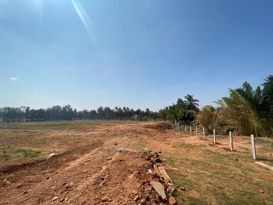 Plot / Site photo 4