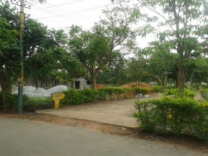 Plot / Site photo 3