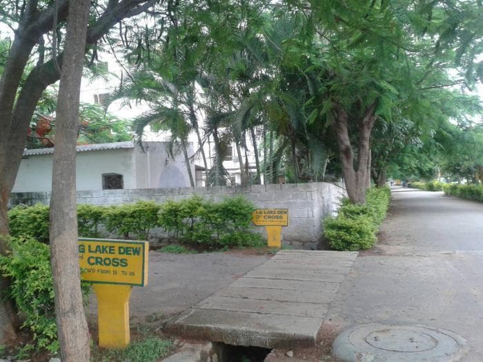 Plot / Site photo 2