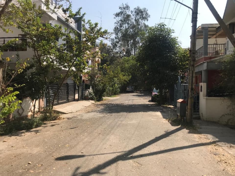 Plot / Site photo 2