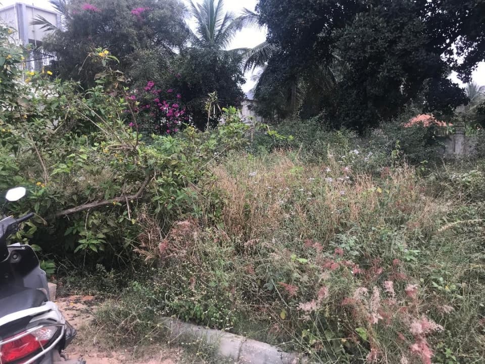 Plot / Site photo 3