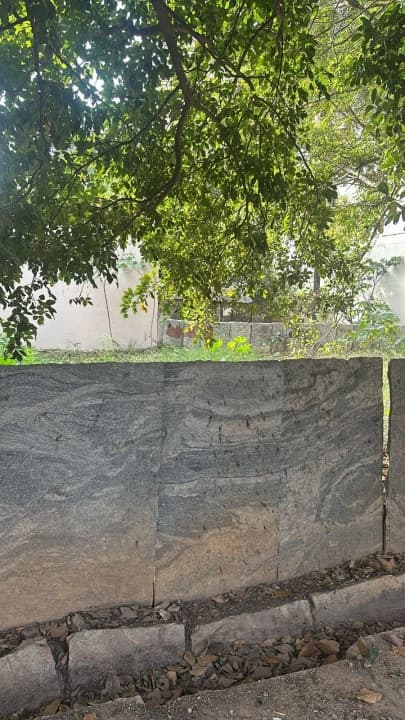 Plot / Site photo 2