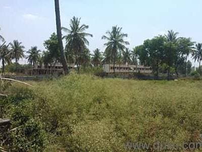 Plot / Site photo 4