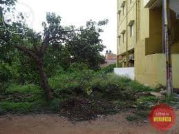 Plot / Site photo 2