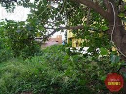 Plot / Site photo 3