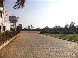 Plot / Site photo 3